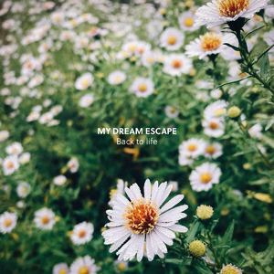 鲁鲁网视频在线
