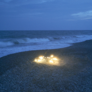 鲁鲁网视频在线
