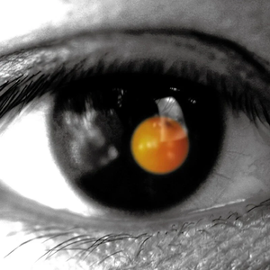 鲁鲁网视频在线
