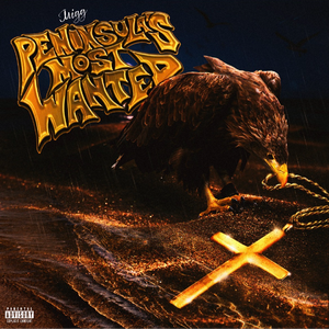 鲁鲁网视频在线
