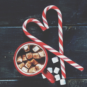 鲁鲁网视频在线
