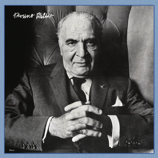 鲁鲁网视频在线
